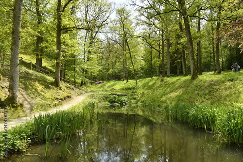 L'une des marres au domaine provincial de Chevetogne à Ciney