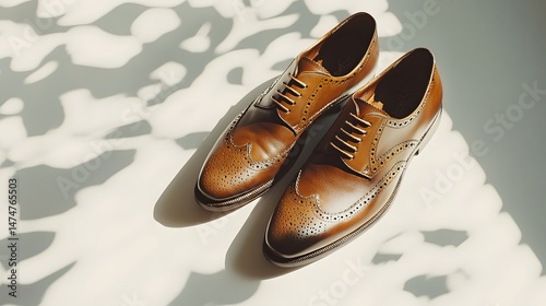 Classic Brown Leather Dress Shoes on Shadows Background