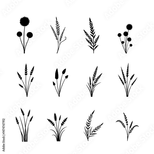 Grass silhouette set in white background
