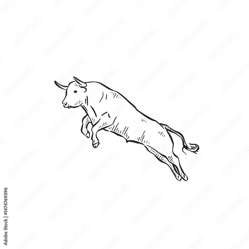 Fototapeta premium A jumping bull hand drawn in black and white. Sketched animal. Cow drawing. 