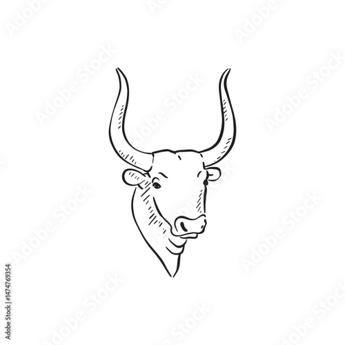 A bull hand drawn in black and white. Sketched animal. Cow drawing.