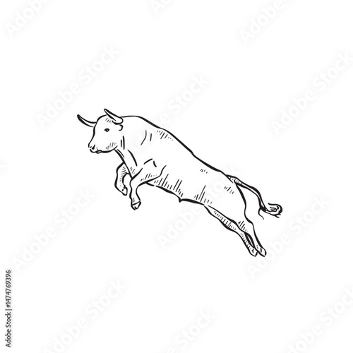 A jumping bull hand drawn in black and white. Sketched animal. Cow drawing. 