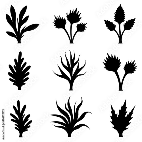 Grass silhouette set in white background
