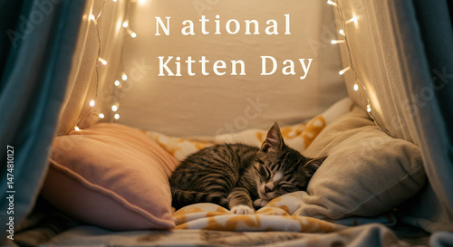 Cute Tabby Kitten Sleeping on Cozy Chair with Fairy Lights – National Kitten Day Celebration photo