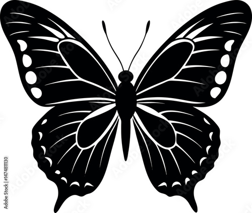 butterfly vector illustration