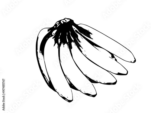 Black and White Illustration of a Banana Bunch with Intricate Details

