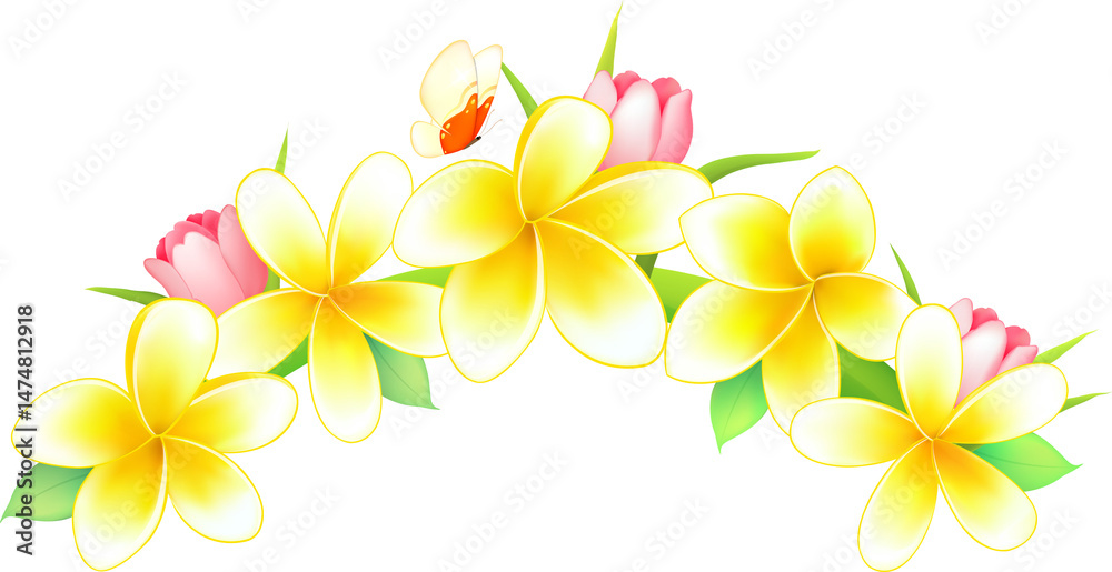 Fototapeta premium Yellow Plumeria and Pink Tulip Arc with Butterfly