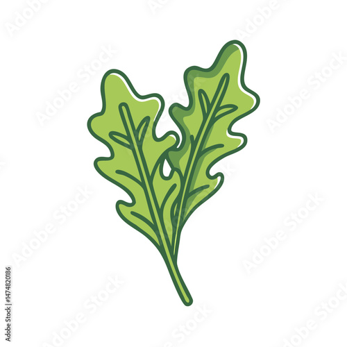 Simple and clean vector illustration of arugula leaves, ideal for healthy food graphics, menus, or organic product designs.
