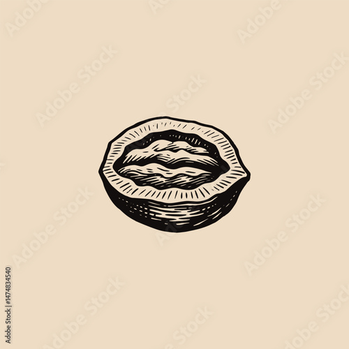 Nutmeg logo engraving style design template vintage