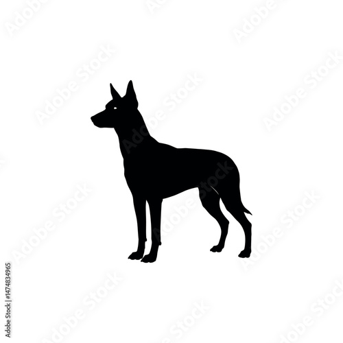 black dog silhouette vector illustration