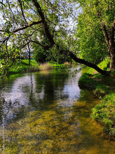 river landscape and blue sky in summer in a forest