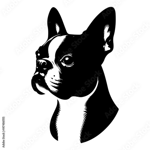 boston terrier dog, silhouette vector file.