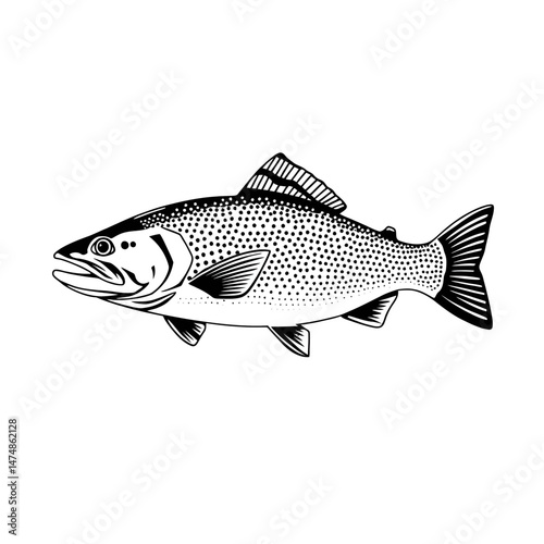 Detailed Fish Line Sketch