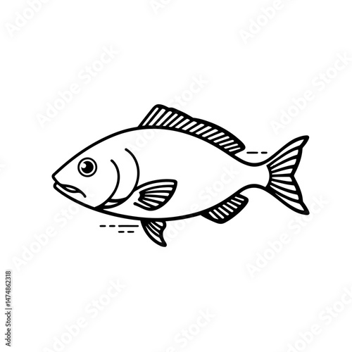 Minimal Fish Line Drawing