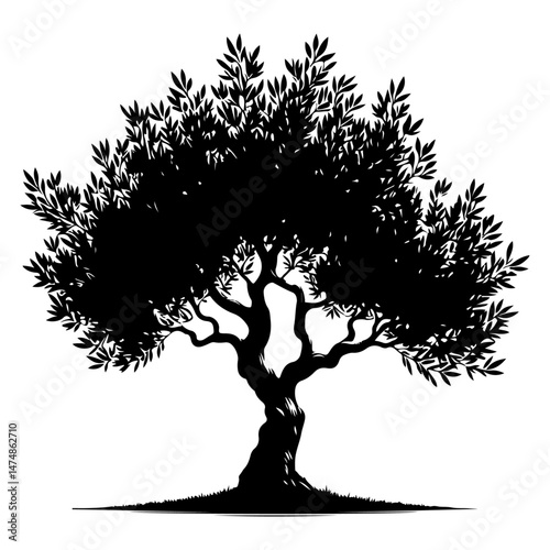olive tree,silhouette vector file.