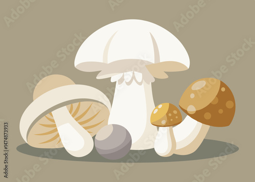 Collection of Various Types of Mushrooms Illustration
