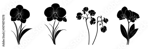 Set of black silhouette orchid flowers with stems and leaves isolated on white background elegant botanical minimalist vector illustration design elements