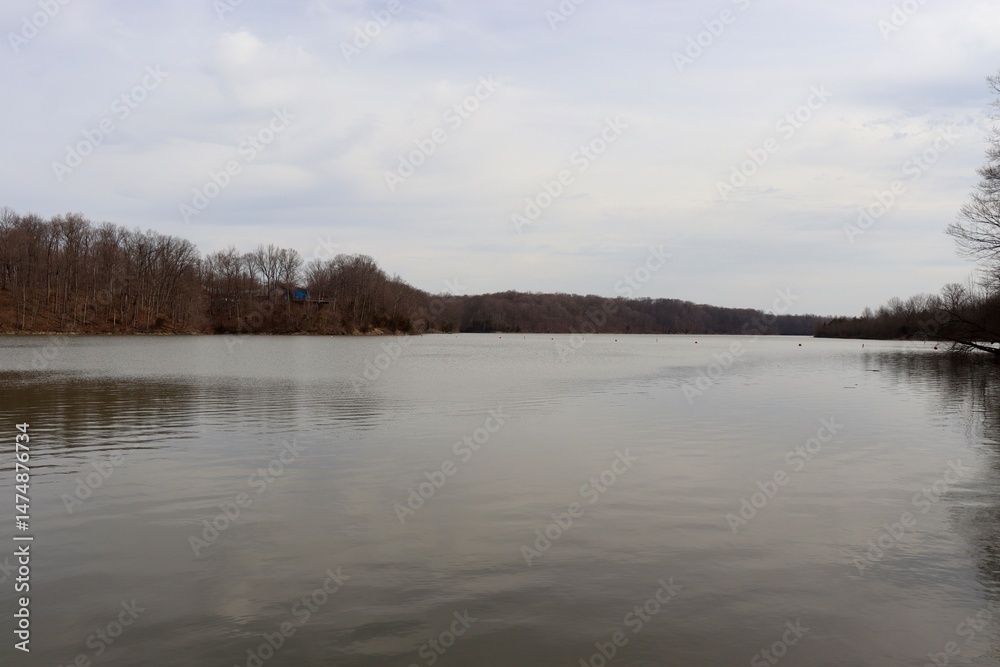 Fototapeta premium The lake in the countryside on a cloudy winter day.