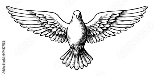 peaceful flying dove with spread wings hand drawn in symbolic engraved style