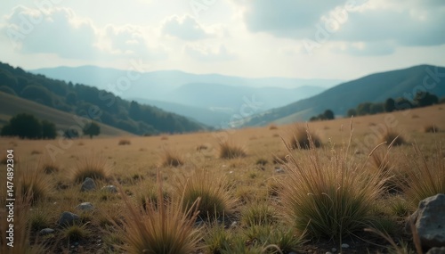 Subtle texture, muted tones, blurred landscape, photography, serene, texture