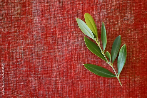 Olive branch on a textured background