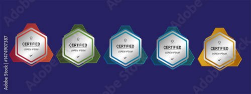 Certificate badge hexagon template for business company vector illustration