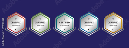 Certificate badge hexagon template for business company vector illustration
