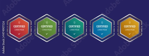 Certificate badge hexagon template for business company vector illustration