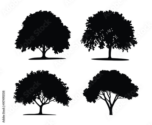 Linden Tree Silhouette EPS Vector Template