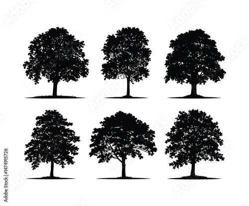 Simple Linden Tree Silhouette Design Template