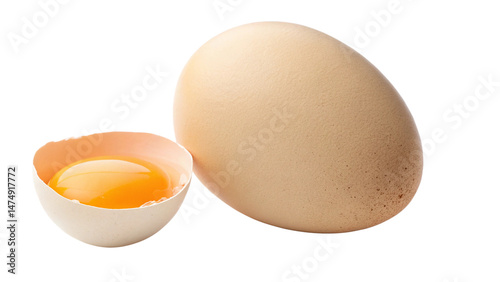 egg