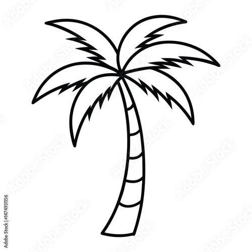 palm tree vector illustration