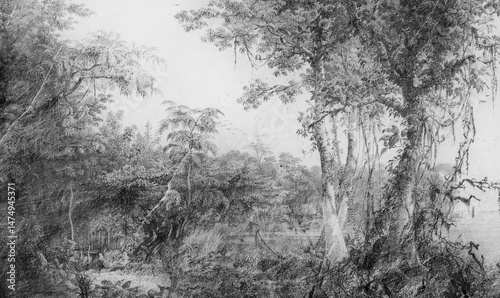 Obraz na płótnie Botanical fresco