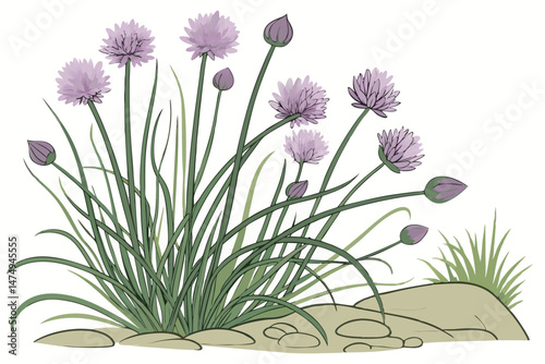 79 chives, purple flowers, vibrant colors, natural light, fresh greens, floral arrangement, botanical, artistic, high detail