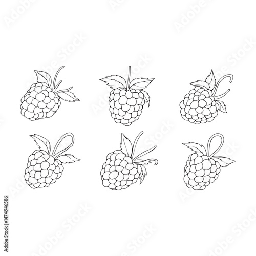 set of berries
