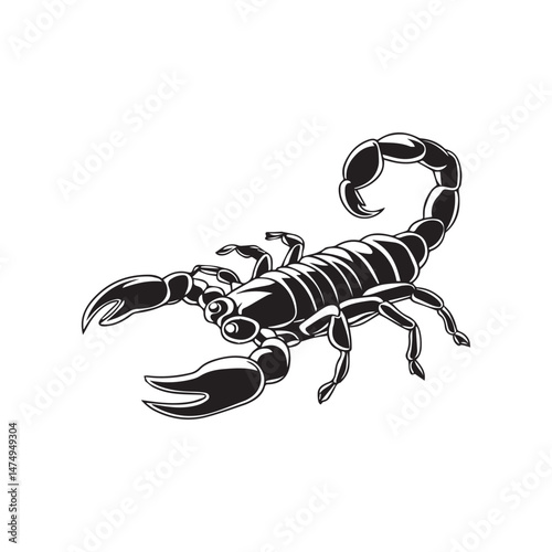 scorpion isolated on white background