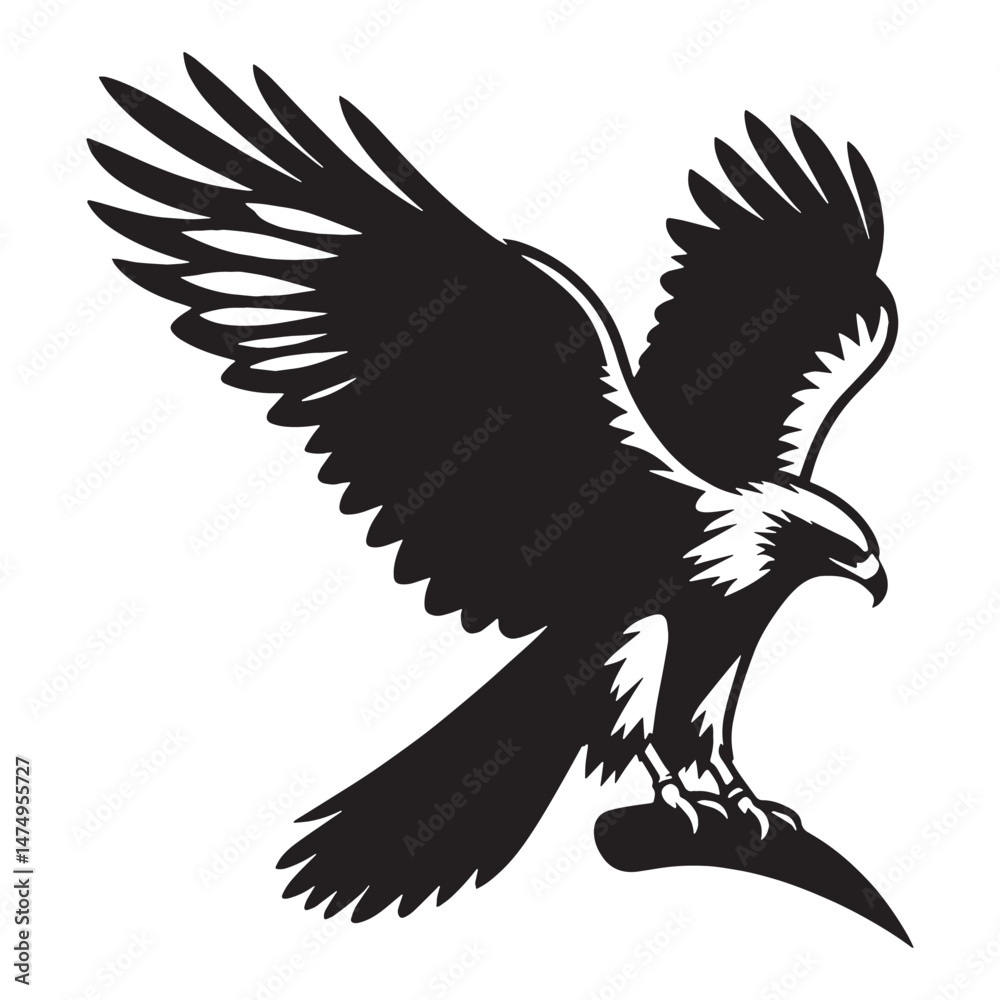 Obraz premium High-flying Hawk silhouette, surveying its domain – Hawk illustration – Minimalist Hawk vector – Bird silhouette