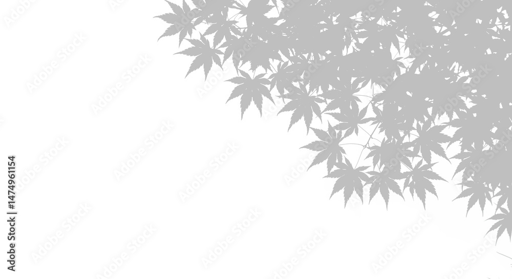 Natural leaf shadow effects isolated on transparent background. Blurred tree branch shadow. Plant leaves shade. Spring decoration, Mockup, template for product display, Summer design elements, PNG Natural leaf shadow effects isolated on transparent background. Blurred tree branch shadow. Plant leaves shade. Spring decoration, Mockup, template for product display, Summer design elements, PNG
