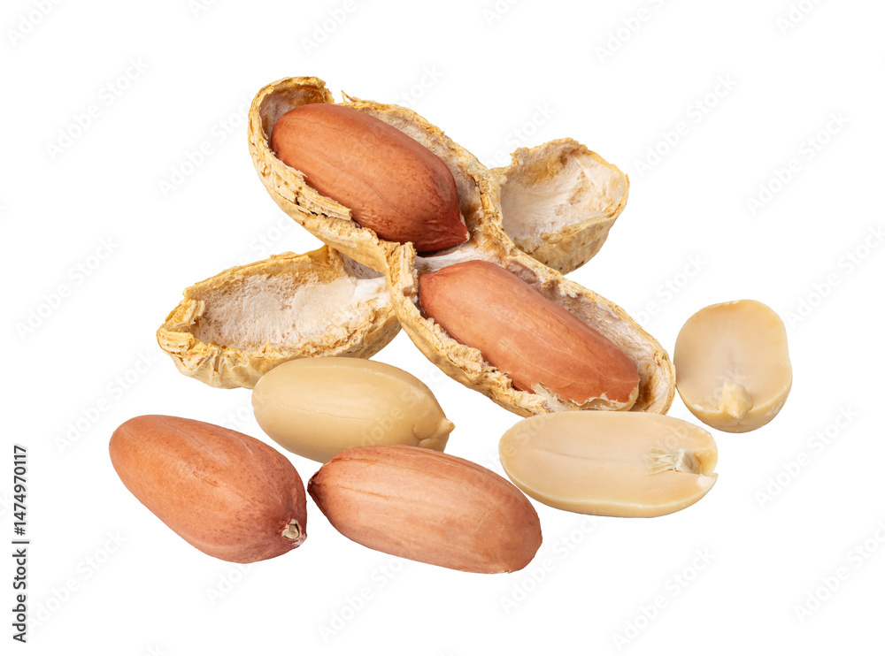 Peanuts showing shelled and whole nuts on transparent background Peanuts showing shelled and whole nuts on transparent background