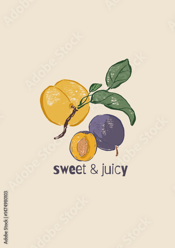 Vector fruit poster of peach and plum. Hand-drawn garden harvest sketch. Tasty food illustration for restaurant and cafe interior, fruit market drawing print, fabric or background.