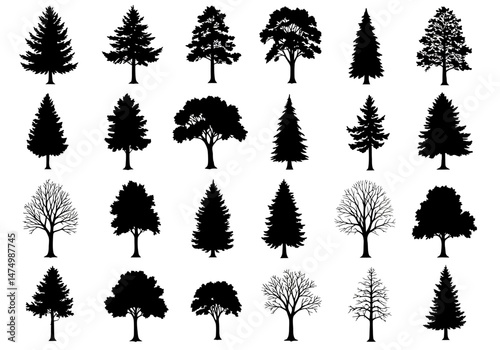 Tree silhouette vector collection evergreen pine tree forest nature design graphic element isolated set on transparent background


