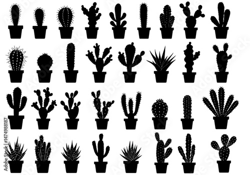 Cactus silhouette vector collection: various potted cacti and succulent plants for desert garden design 100 on transparent background


