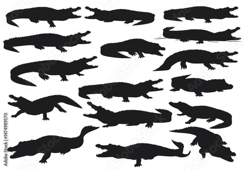 Collection of alligator silhouette vector images for graphic design and illustration projects resource pack on transparent background


