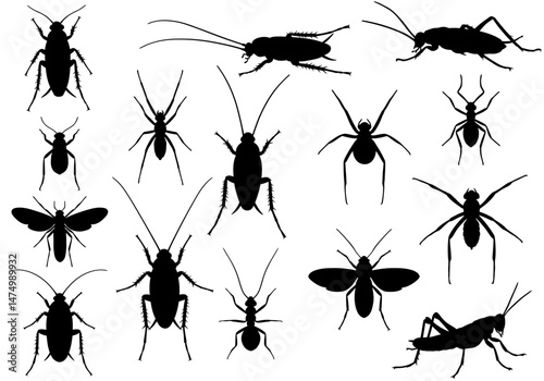 Pest control vector silhouettes of insects cockroaches ants spiders grasshoppers and other bugs isolated set on transparent background



