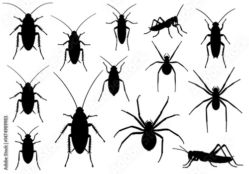 Stock vector illustration of cockroach spider and grasshopper silhouette pest control extermination concept on transparent background


