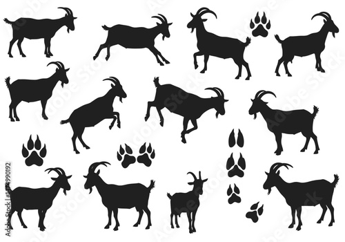 Goat silhouette vector set, farm animals, livestock illustration, horned goat, mammal, goat icon set on transparent background


