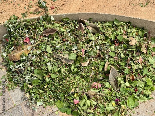 A pile of freshly cut green leaves and dried brown leaves, scattered with pink petals, gathered near a sandy patch