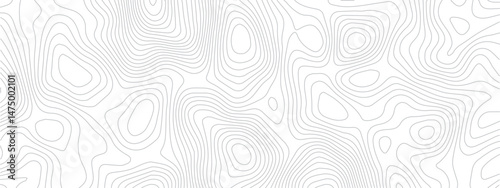 Contemporary Abstract Topographic Map with Geometric Lines and a Clean Modern Grid Layout on a White Background
