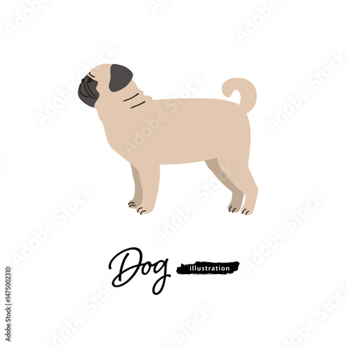 犬のイラスト_パグ