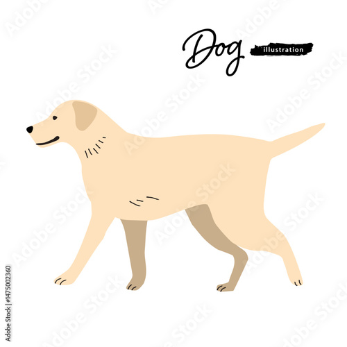 犬のイラスト_ラブラドールレトリバー
